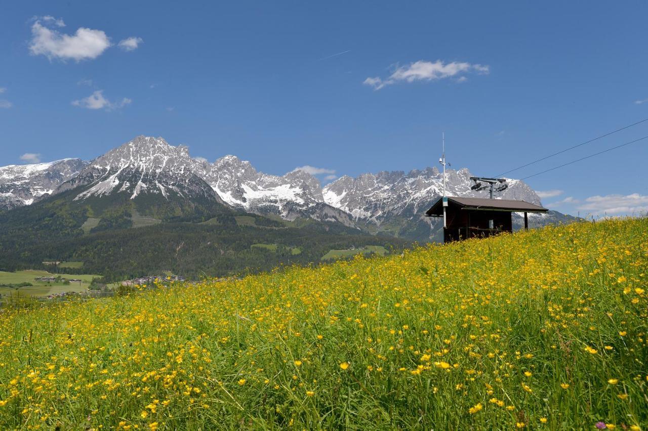 Chalet Grizzly Элльмау Экстерьер фото